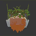 Small Potted Plants With Various Styles Decorative Stones And Colorful Accents