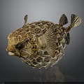 Detailed Inflated Spotted Puffer Fish With Sharp Spines On Dark Background