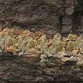Natural Rockery Stones With Unique Texture And Earthy Tones For Garden Decoration