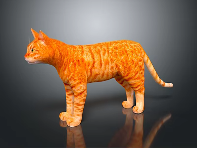 Realistic Orange Striped Cat Standing On Shiny Black Surface With Clear Reflection 3d model