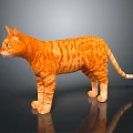 Realistic Orange Striped Cat Standing On Shiny Black Surface With Clear Reflection 3d model