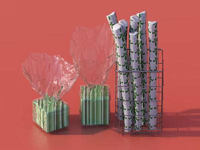 Decorative Ornament Set With Transparent Plastic Bags Cube And Metal Rack Rolled Items Red Background 3d model