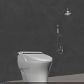 Modern Shower Head In Bathroom Interior With White Toilet And Gray Wall
