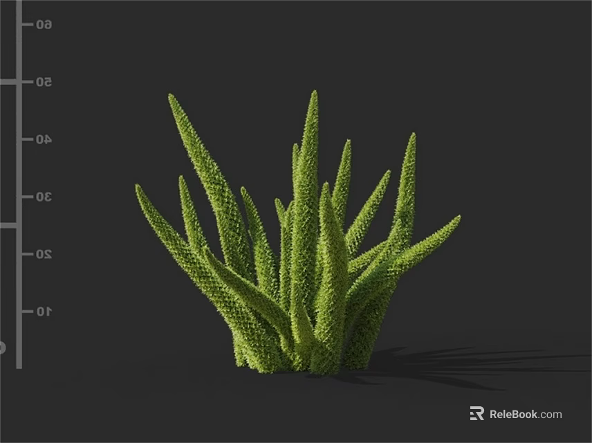 Vibrant Green Succulent Plant With Spiky Textured Leaves And Fresh Natural Look 3d model 