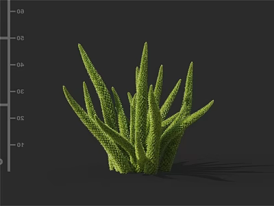 Vibrant Green Succulent Plant With Spiky Textured Leaves And Fresh Natural Look 3d model