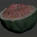 Fresh Cut Guava with Green Skin Pink Flesh and Yellow Seeds