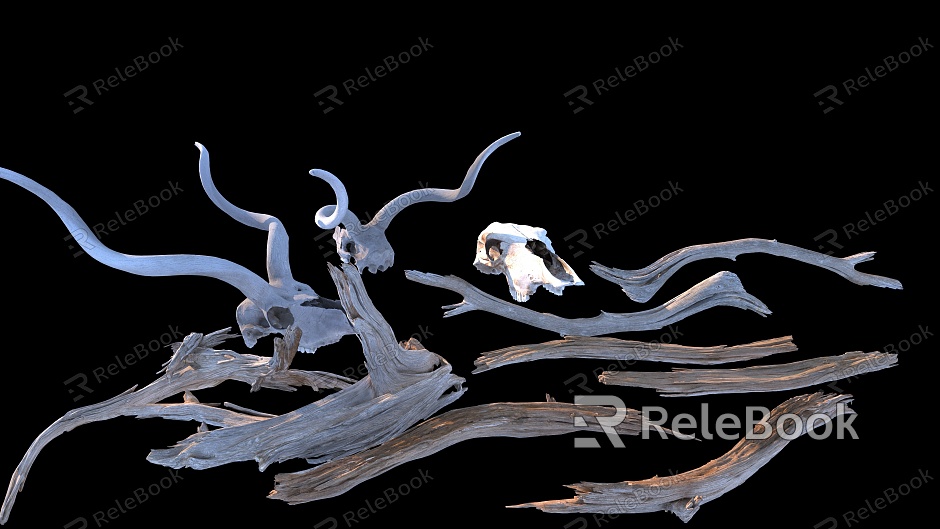 Wood Dead Wood Dead Branch Animal Skull Bones model