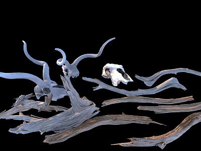 Wood Dead Wood Dead Branch Animal Skull Bones 3d model