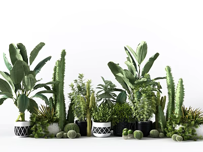 Various Types of Green Potted Plants with Different Planters for Indoor Decoration 3d model