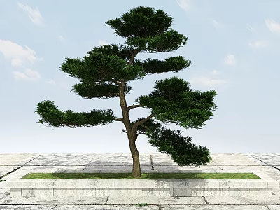 Pine Arbor With Lush Green Foliage On Stone Platform And Pavement Under Blue Sky 3d model