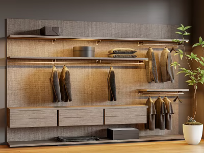 Modern Minimalist Wardrobe With Hanging Rods Drawers Shelves And Potted Plant 3d model