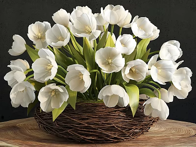 White Tulip Potted Plant In Wicker Basket On Wooden Table Dark Background 3d model
