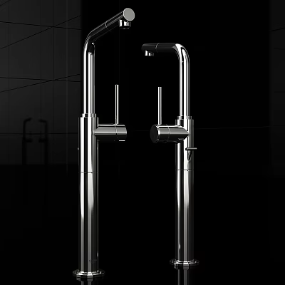 Modern Stainless Steel Kitchen Faucet With Double Handle And Sleek Modern Design 3d model