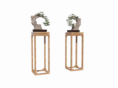 Two Wooden Square Frame Plant Stands With Bonsai Trees On Top 3d model