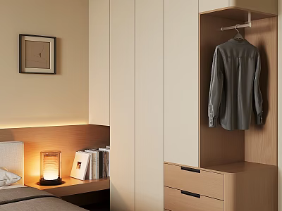 Modern Bedroom Built in Wardrobe With Hanging Area Drawers And Shirt 3d model