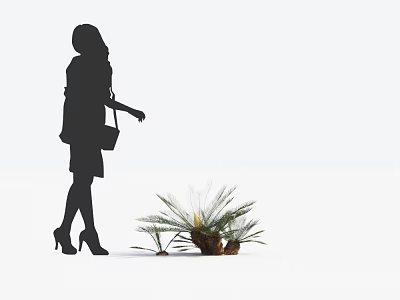 Small Palm Tree With Silhouette Of A Woman In High Heels And Handbag 3d model