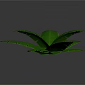 Large Green Tropical Leaves With Vibrant Veins For Interior Decoration