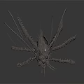 Mechanical Metallic Insect Featuring Transparent Wings Long Slender Legs And Reflection In Dark Background