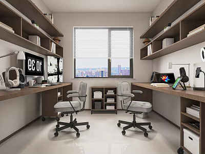 Modern Study Room Interior With Wooden Shelves Desks Office Chairs Window Blinds And City View 3d model