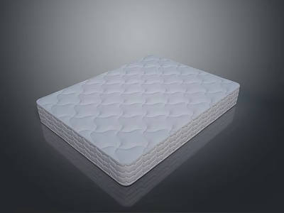 Comfortable Supportive Premium Foam Mattress With Quilted Surface Design 3d model