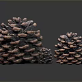 Brown Pine Cones Decorative Set For Home Decor With Reflection Background