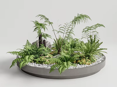 Lush Green Ferns Arrangement with Small Stones and Rockery in Circular Gray Pot 3d model