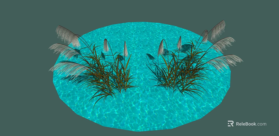 Lush Feathery Reed Plants with Green Leaves on Serene Blue Water Surface 3d model 