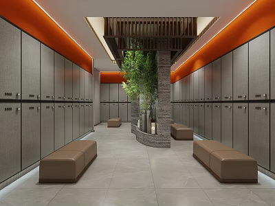 SPA Sauna Locker Room Interior With Gray Lockers Benches And Green Plant 3d model