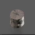 Tree Stump Shaped Household Product With Natural Woodgrain Cracks And Small White Object On Top