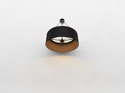 Modern Black And Brown Pendant Light With Round Shade And Metal Frame 3d model