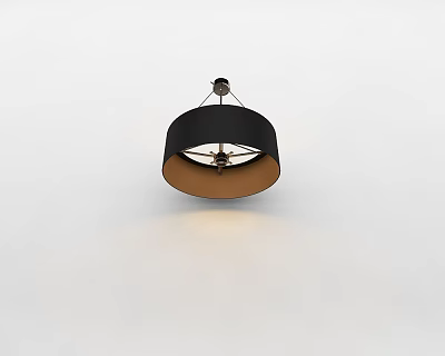 Modern Black And Brown Pendant Light With Round Shade And Metal Frame 3d model