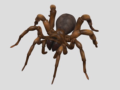 spider insect reptile crawling pet 3d model