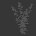 Bamboo Plants With Silhouette Of A Walking Woman