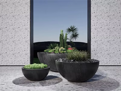 Modern Bonsai Potted Plants In Different Sizes Black Planters With Cactus Palm Greenery 3d model