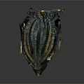 Detailed View Of Blue Green Striped Beetle With Metallic Shiny Exoskeleton On Dark Background