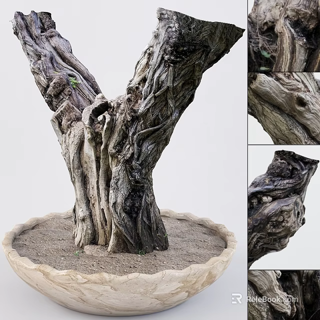 Bonsai Tree With Textured Twisted Trunk In Wavy Edge Pot And Sandy Soil 3d model 
