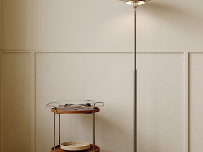 Floor lamp side corner several model