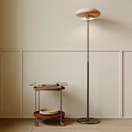 Floor lamp side corner several 3d model