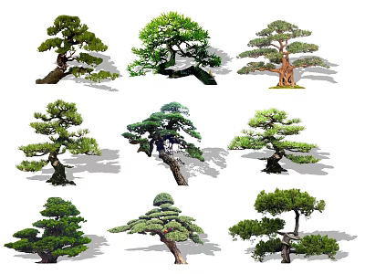 Diverse Arbor Trees With Distinct Shapes Lush Green Foliage And Curved Branches 3d model