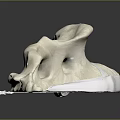 Animal Spine Skeleton Model White Anatomical Structure Curved Vertebrae With Holes On Black Reflective Background