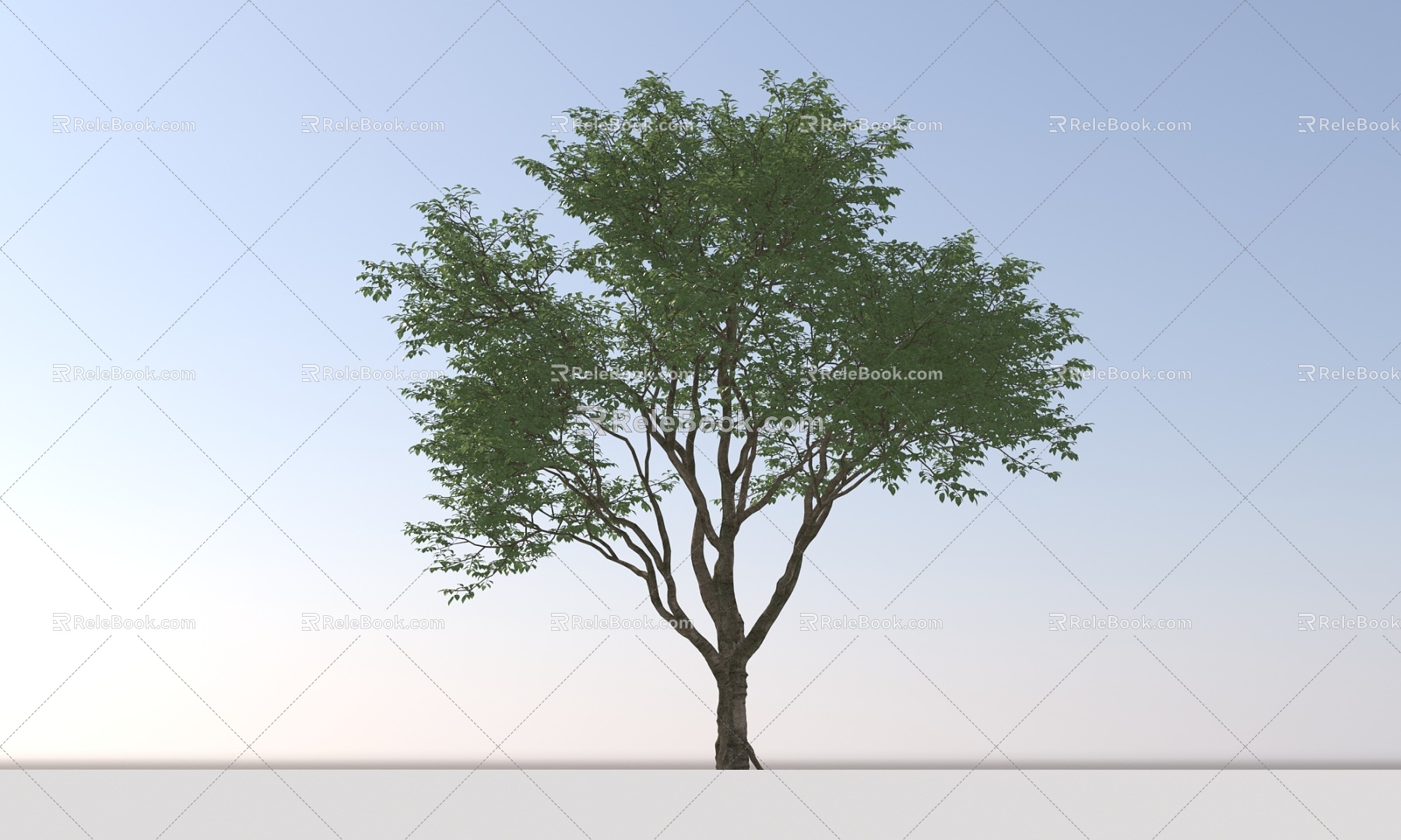 Landscape Arbor Tree 3d model