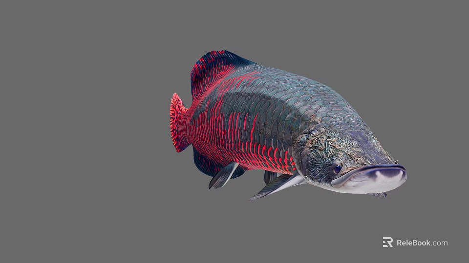 Vibrant Red and Blue Striped Aquatic Fish with Elongated Body and Shiny Scales 3d model 