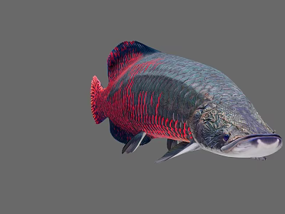 Vibrant Red and Blue Striped Aquatic Fish with Elongated Body and Shiny Scales 3d model