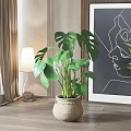 Decorative Monstera Potted Plant in Interior with Curtain Floor Lamp Line Art and Wooden Floor