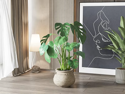 Decorative Monstera Potted Plant in Interior with Curtain Floor Lamp Line Art and Wooden Floor 3d model