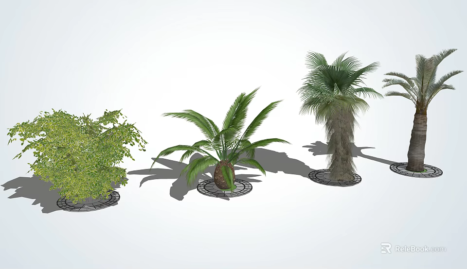 Various Types Of Trees With Green Foliage And Trunk Textures In Landscaped 3d model 