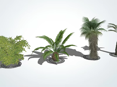 Various Types Of Trees With Green Foliage And Trunk Textures In Landscaped 3d model