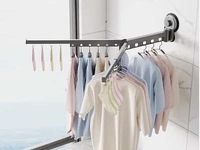 Wall Mounted Clothing Rack With Multiple Hooks Hanging Sweaters And Socks 3d model