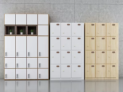 Modern Storage Cabinet Shelves with Multiple Doors in White and Wooden Finishes 3d model
