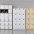 Modern Storage Cabinet Shelves with Multiple Doors in White and Wooden Finishes